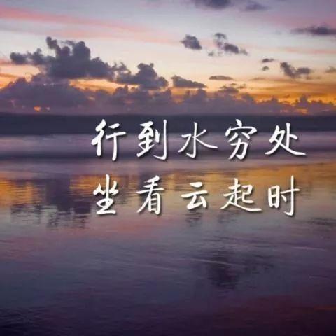 丹丹-牛白解惑