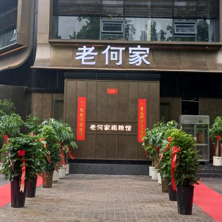 老何家.洛阳菜官方号