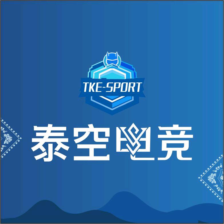 泰空电竞(成县店）