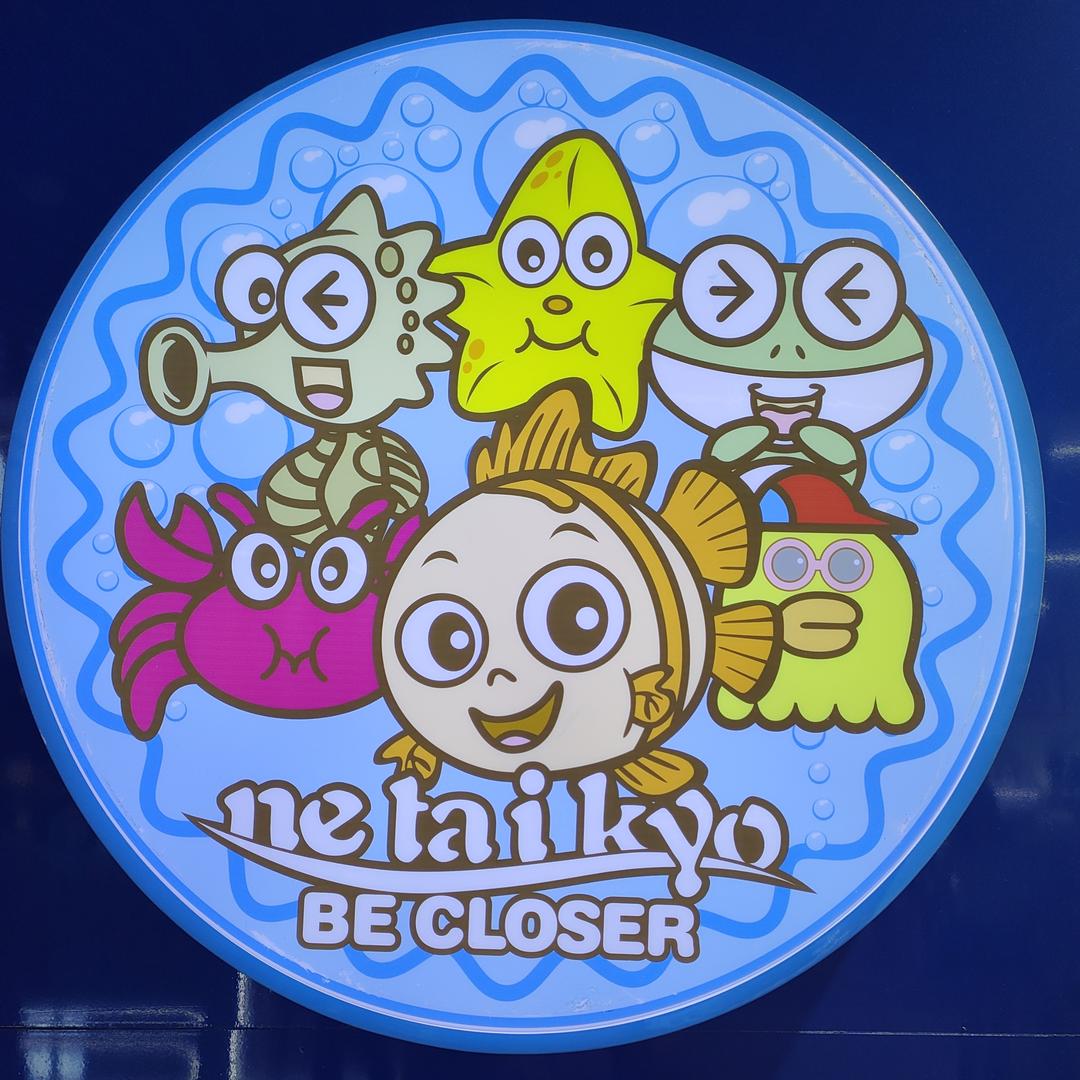 Netaikyo热带鱼童装推荐官黄福英