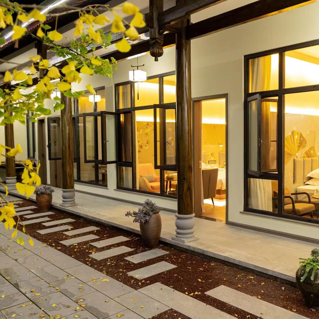 银杏树下的小伙{山哥客栈}