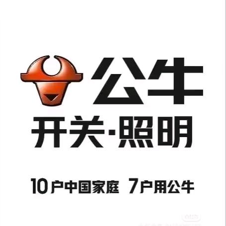 公牛装饰开关(宁波轻纺城店)