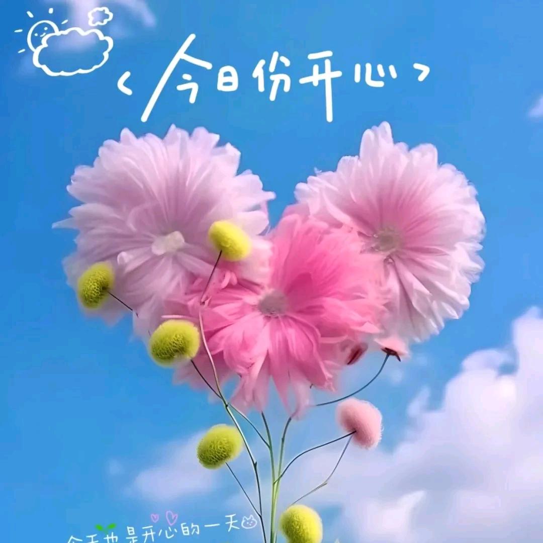 艺彩飞扬(三棵树涂料，墙面，艺术漆)