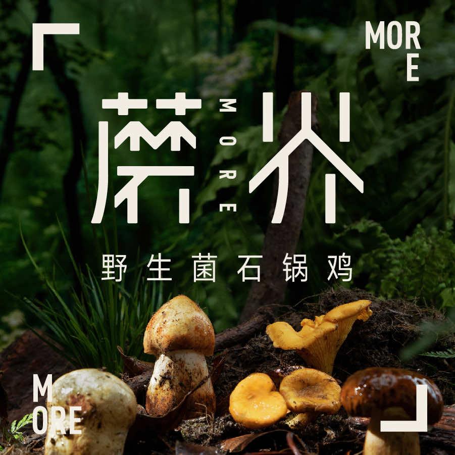 蘑界 野生菌火锅-9月16日直播主厨驾到