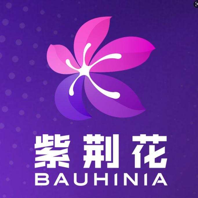 紫荆花全彩涂装馆（花垣光明建材市场店）