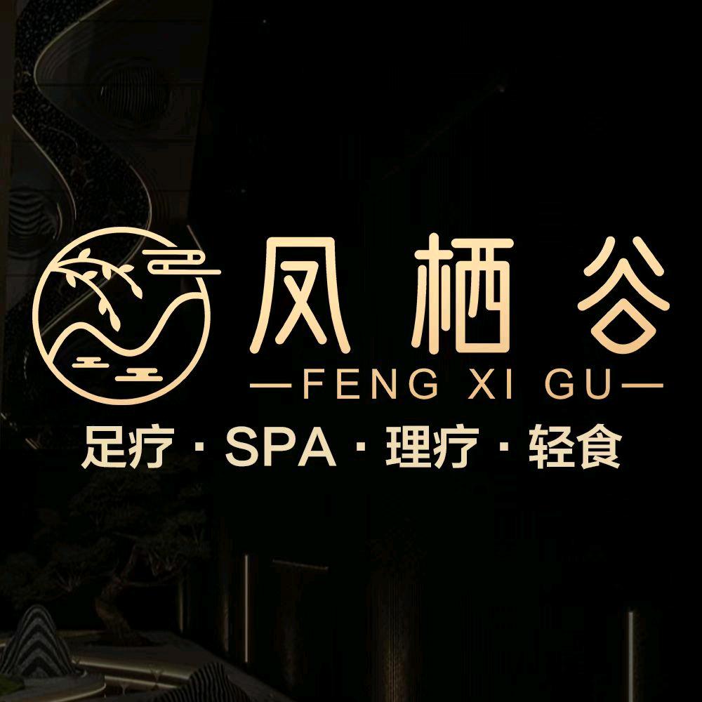 凤栖谷·影院式足道spa官方号