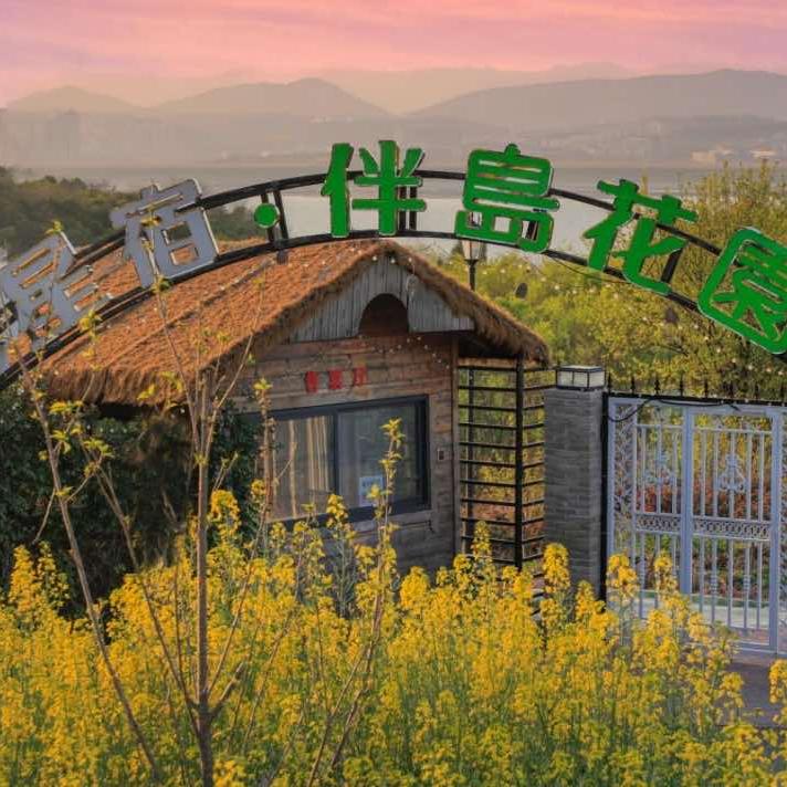 星宿伴岛花圜官方号