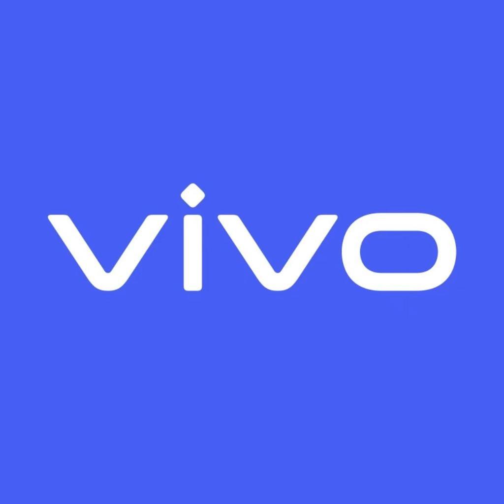 潘店长vivo