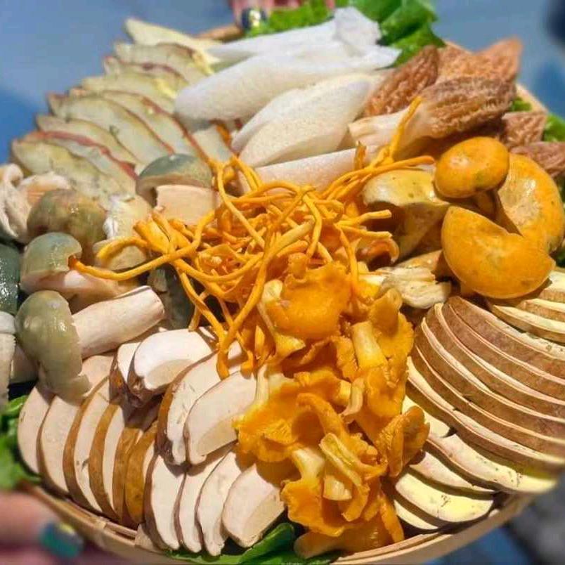 菌香园野生菌火锅