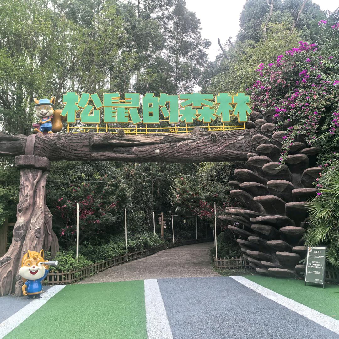 松鼠的森林官方号