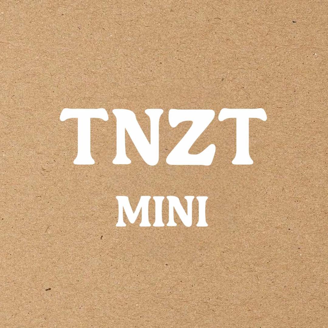 童年主题TNZT童鞋旗舰店