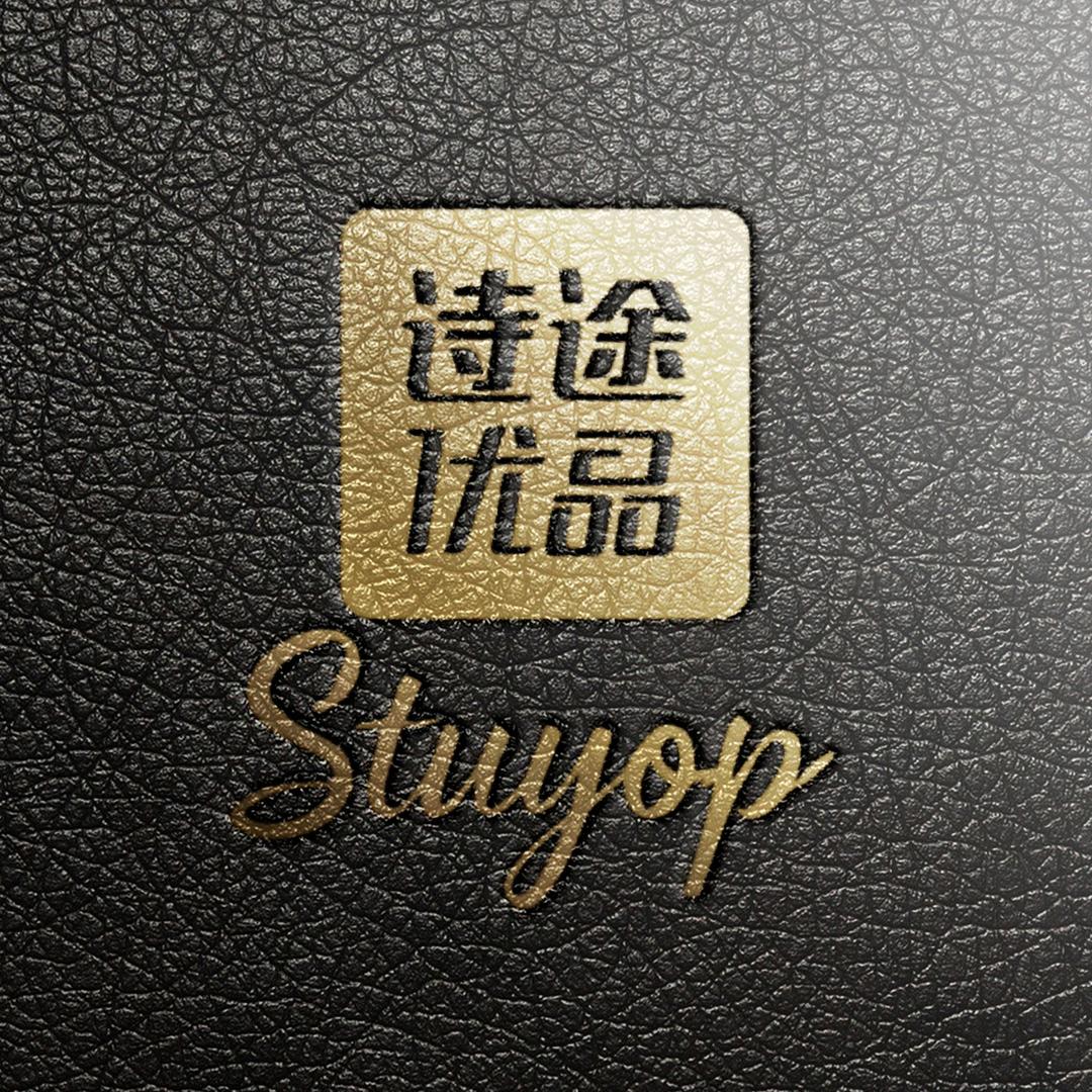 诗途优品汽车脚垫