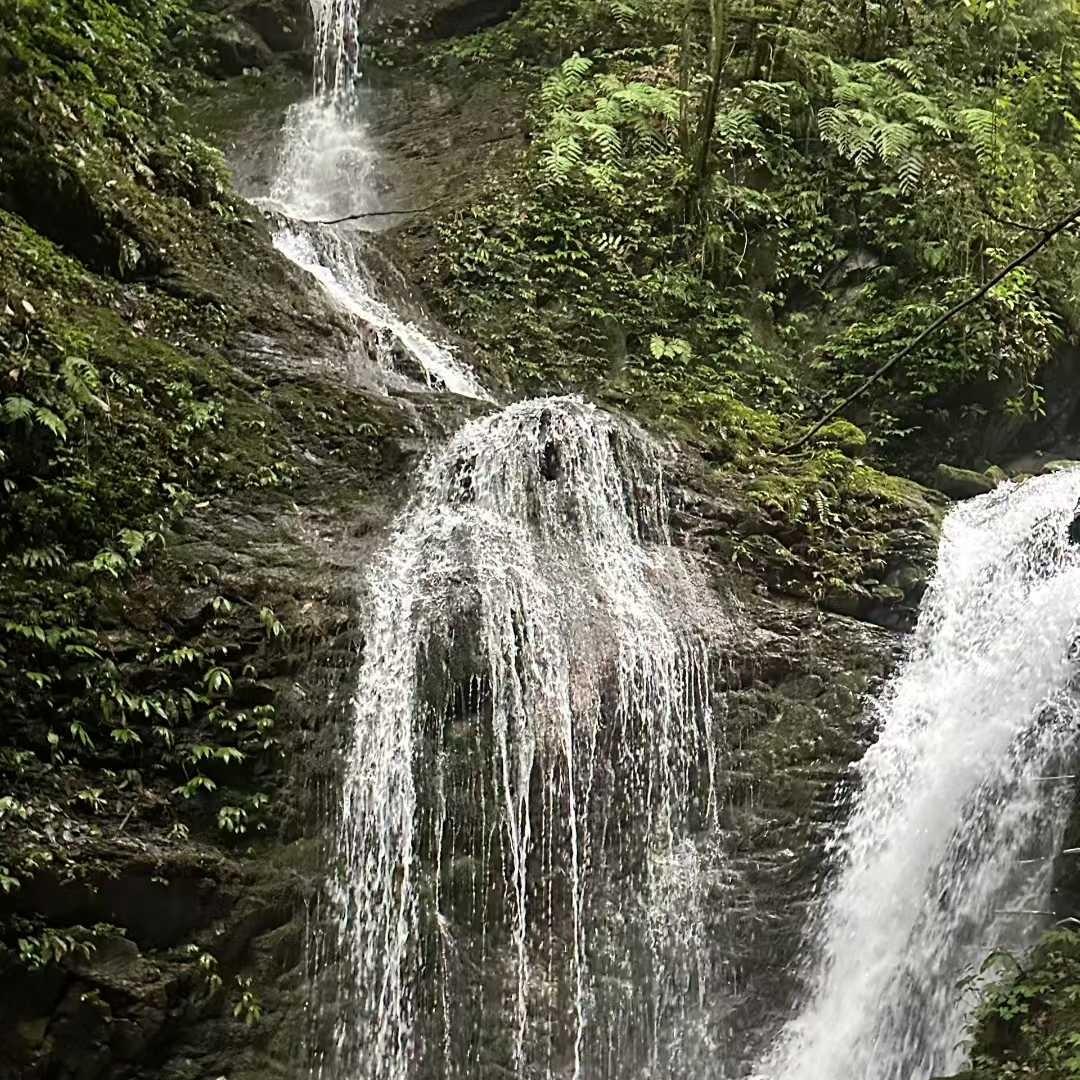 顺朗