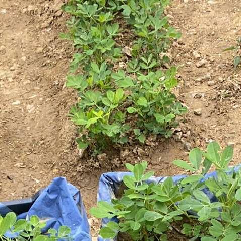 馨碓商贸五金号的头像