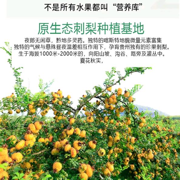 贵州牧沣精选