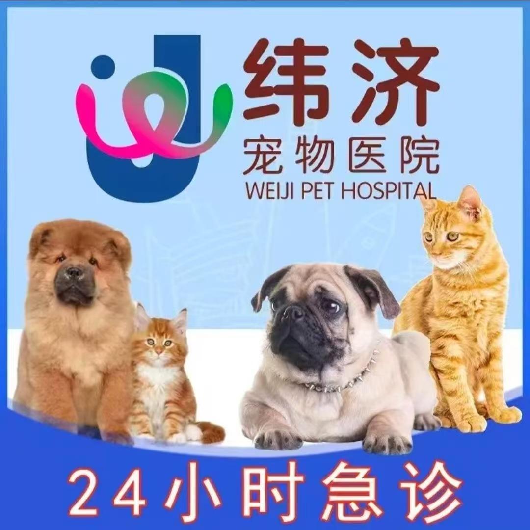纬济·爱欣动物医院(大亚湾店)专用号