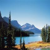 武汉市渠雪好网络科33直播号