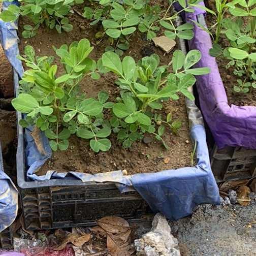 馨碓商贸百货号