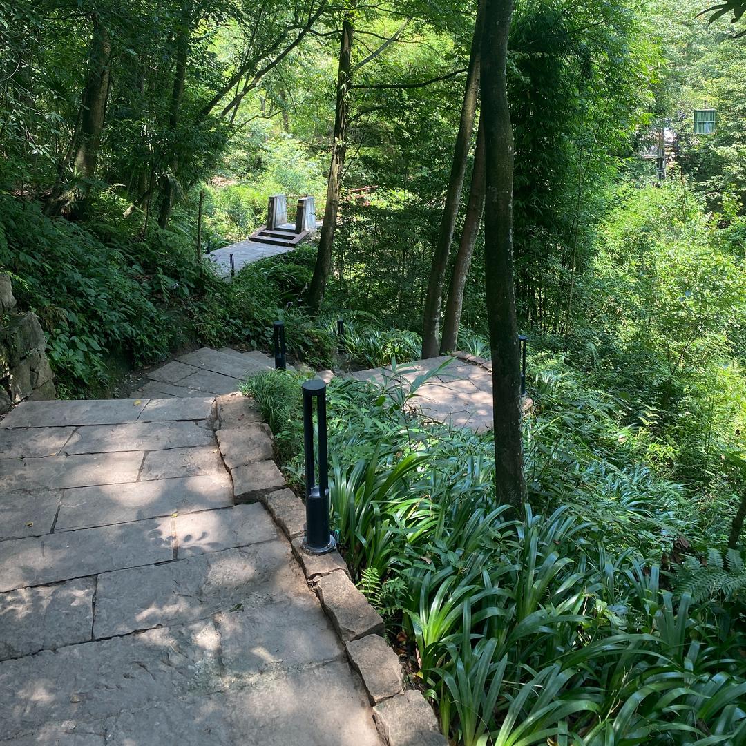 成都盛鑫念科技经营号