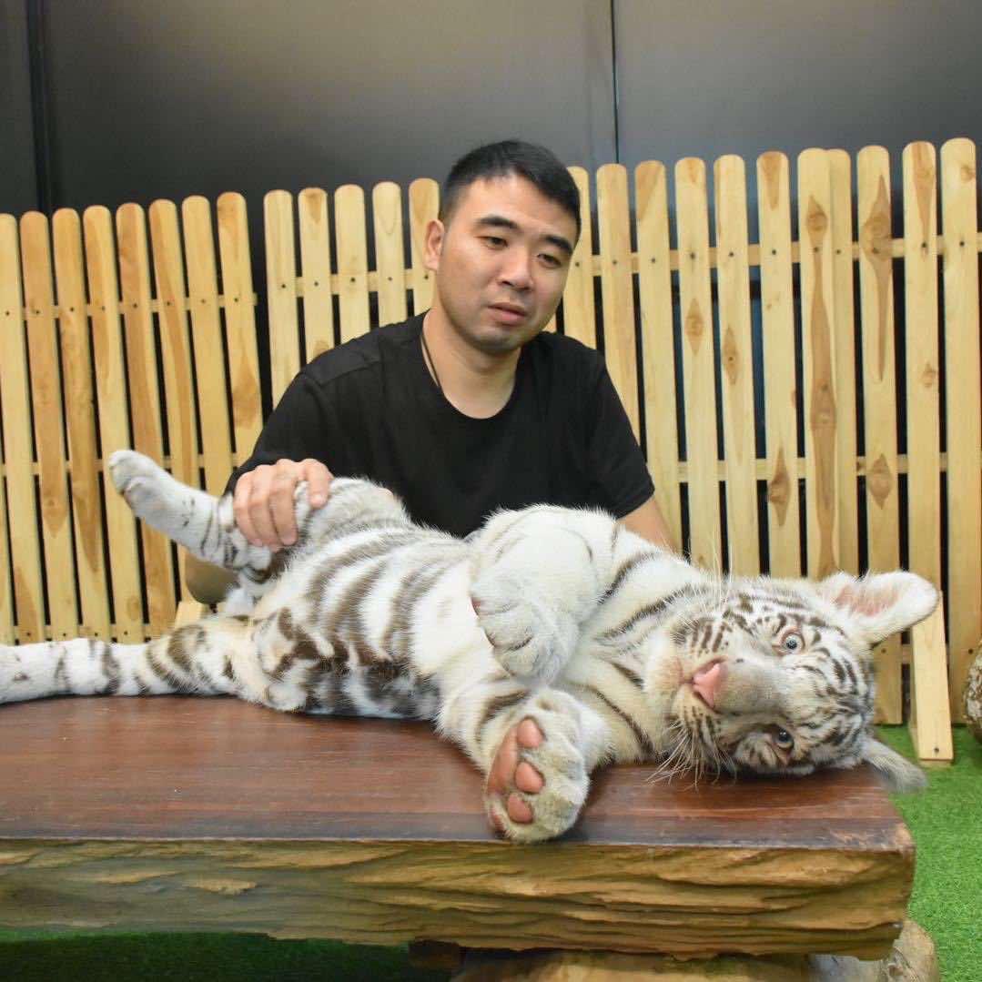 宠乐汇老王