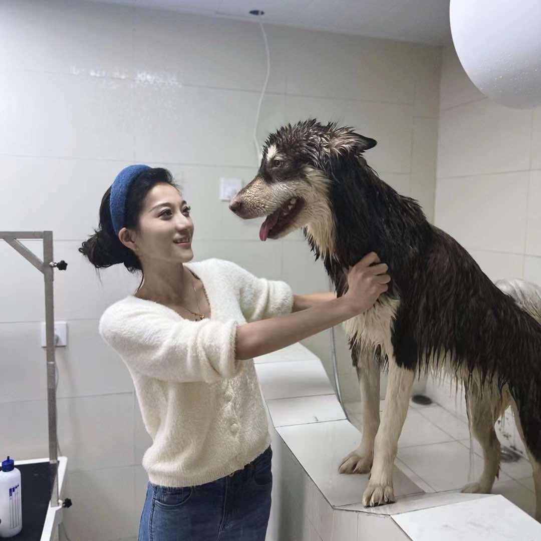 哈娜家宠物生活馆官方号