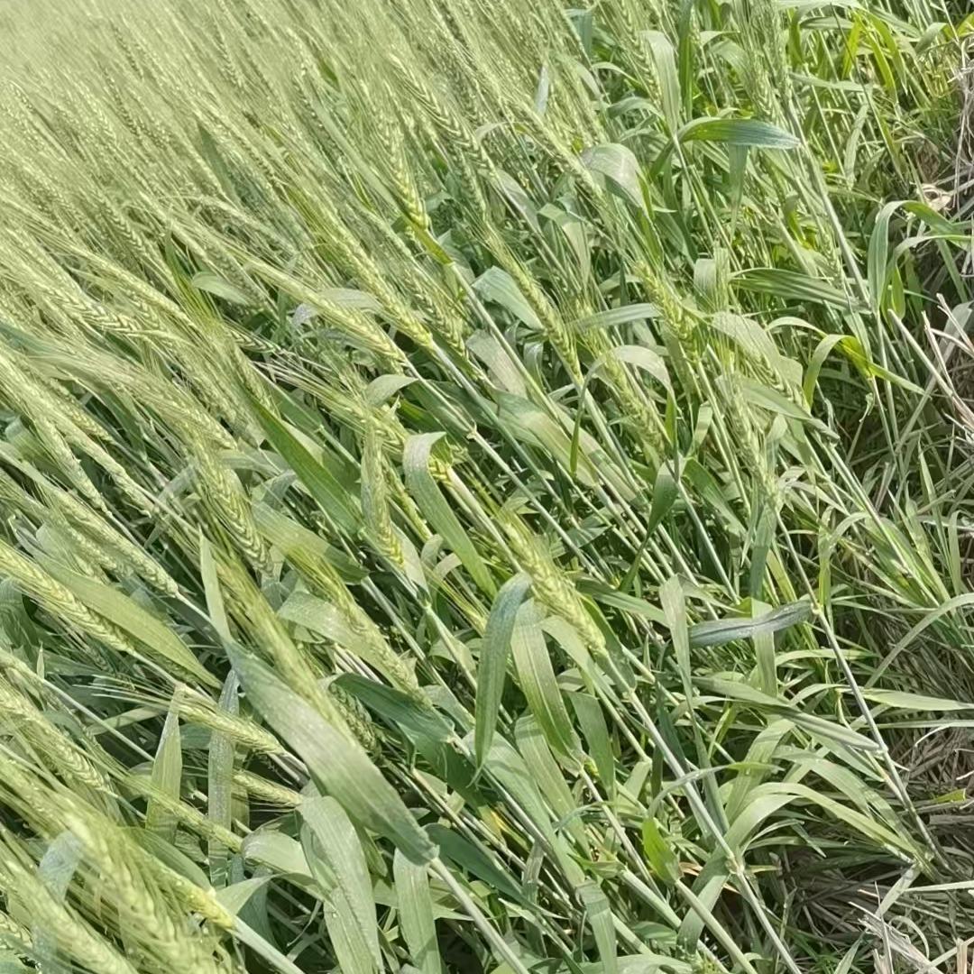 广州盈基皮具厂员工号