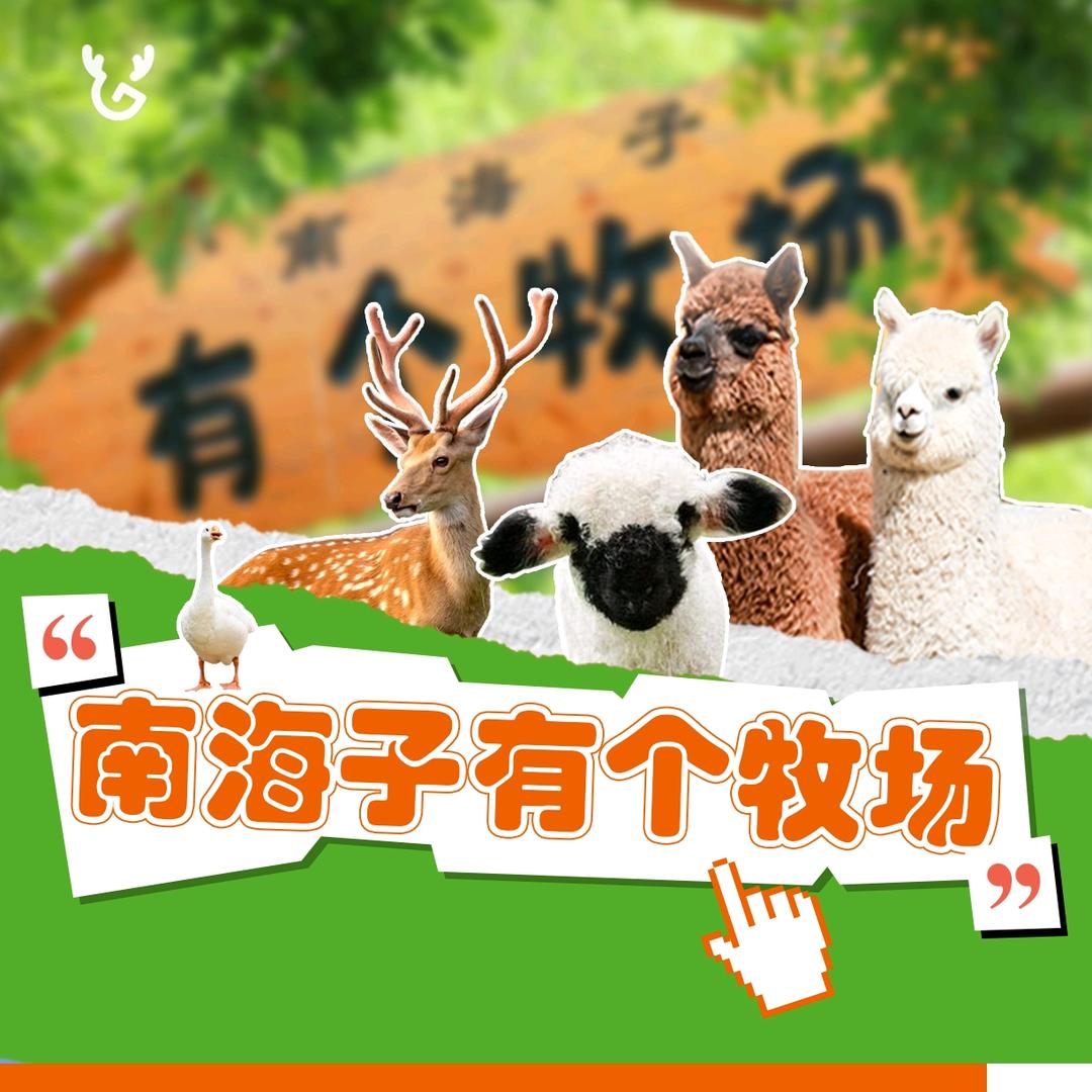 南海子有个牧场主题乐园（萌宠奇遇记）