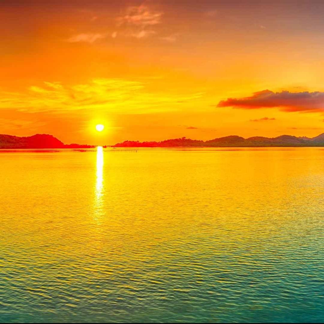 广州公杉科技科科直播号