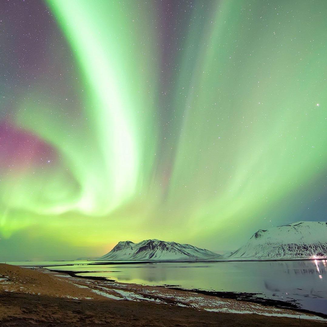 卢本伟的直播号