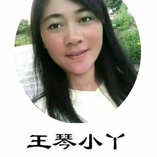 王琴小丫