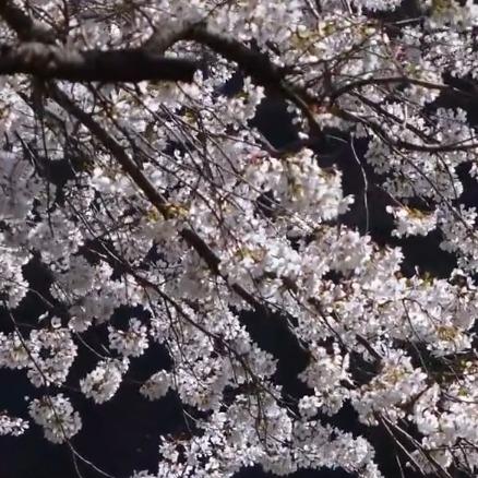 谜袖(中国铁建186MALL店)涣发大直播号