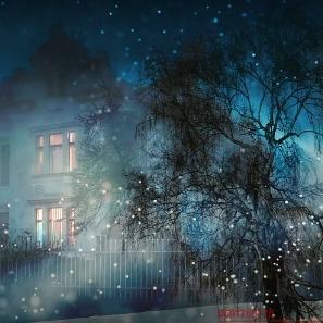 大小道子直播号