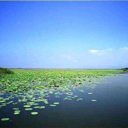 渔鲜美农家院官方号