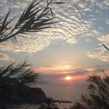 玖晟咨询有限公司