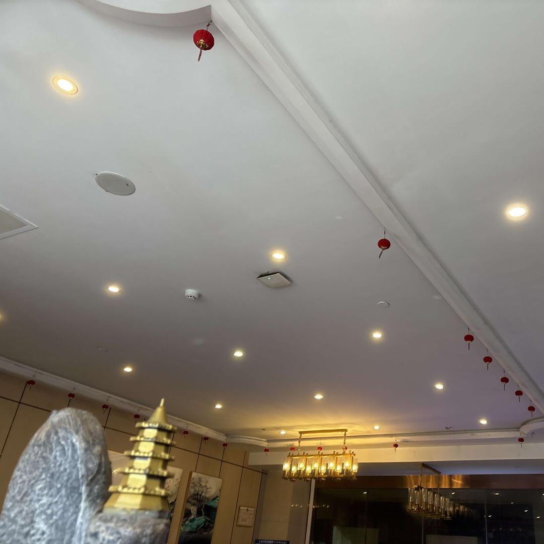 DD 6+1  粉丝福利号