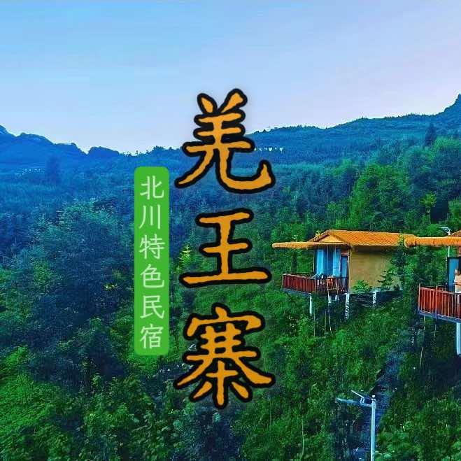 羌王寨民宿酒店