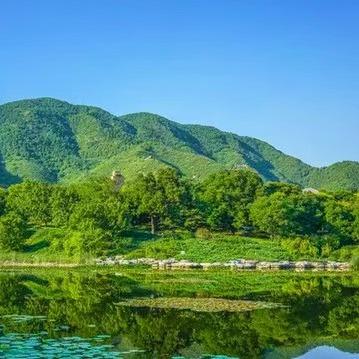 墨溪庆圣明仕栋雅直播号