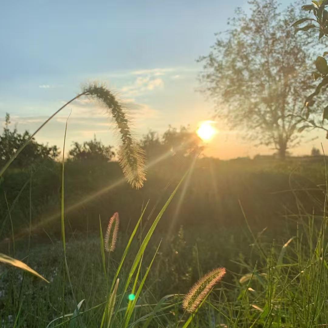 枝江市索弘机械设备