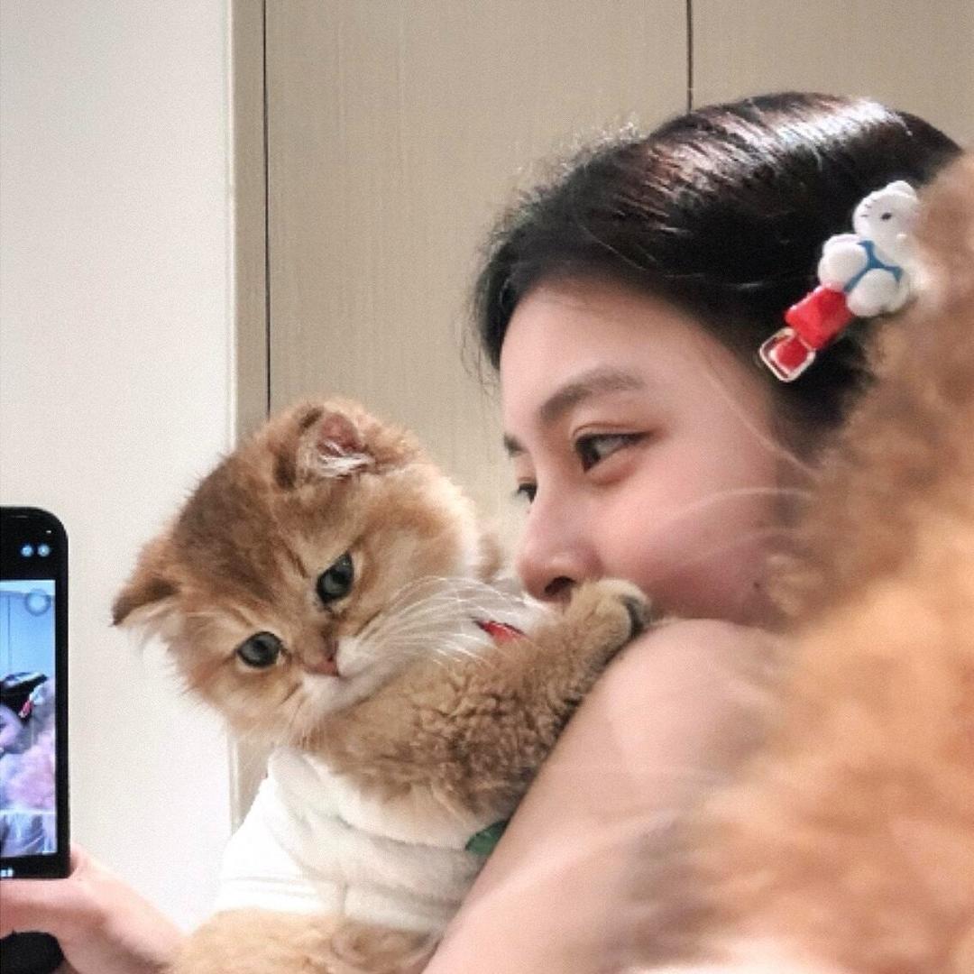 涞旺壹号