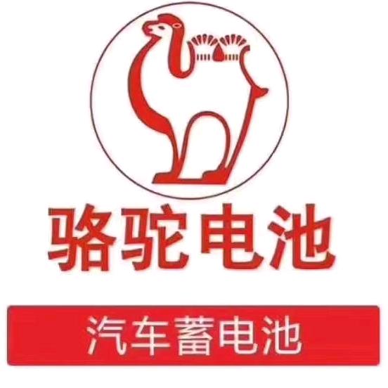 骆驼蓄电池阆中总代理（七里大道店）