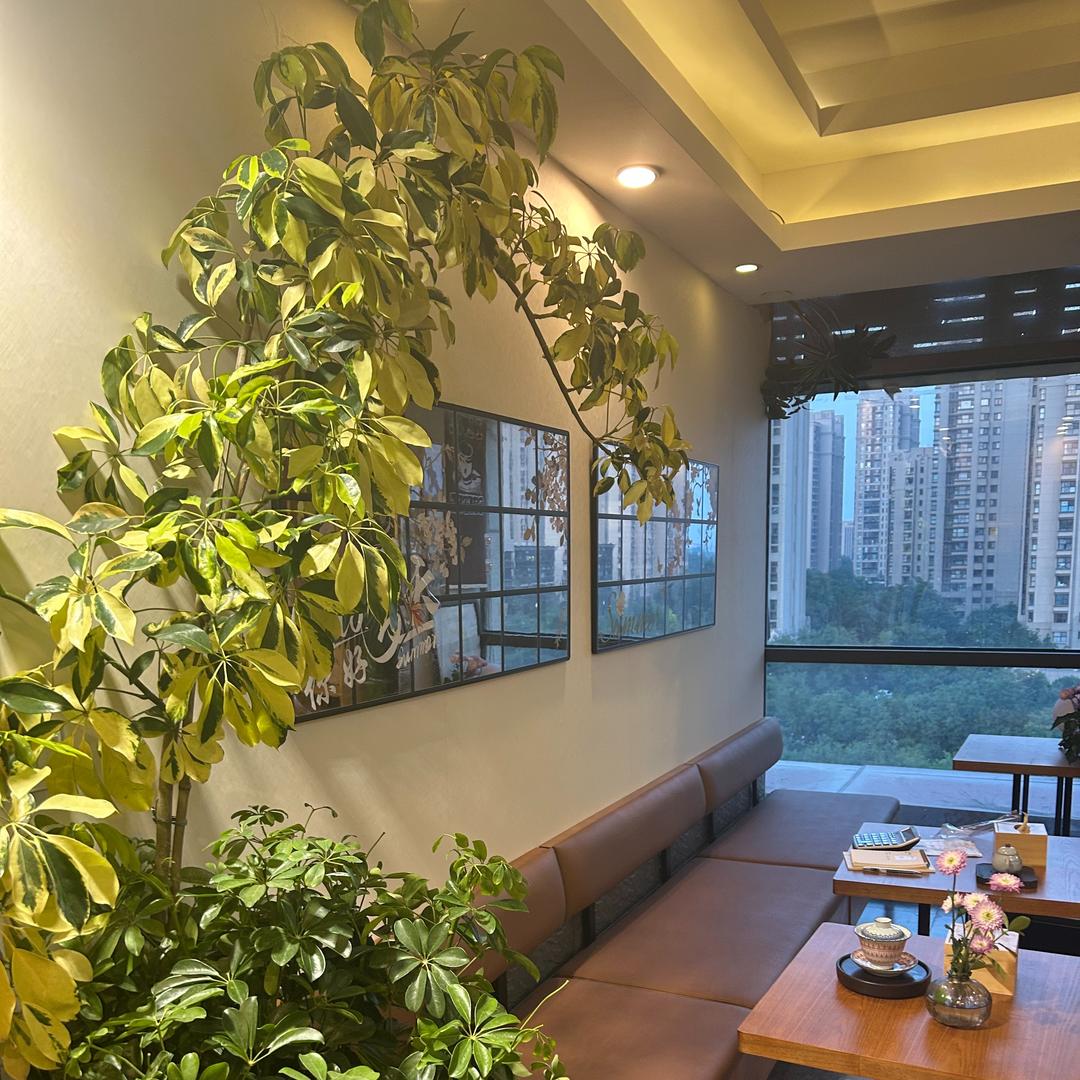 海悦汤泉官方号