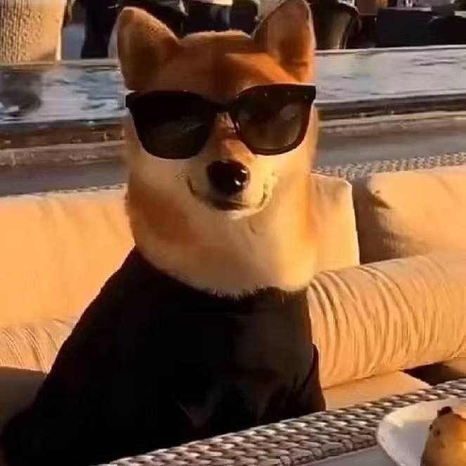 K.科城领航夏园