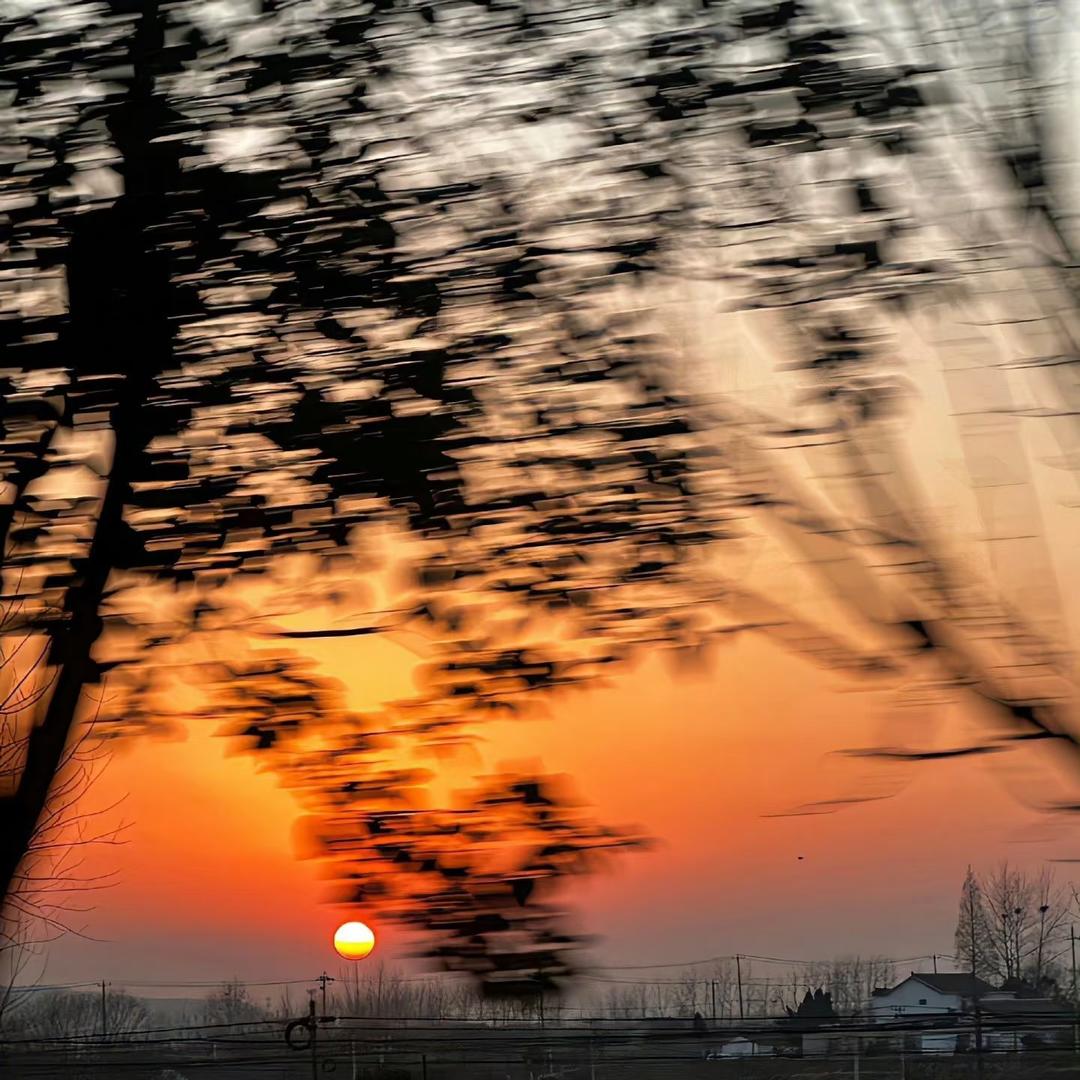 囍日子婚庆开播号