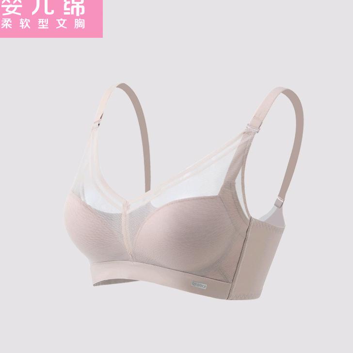 王圆圆