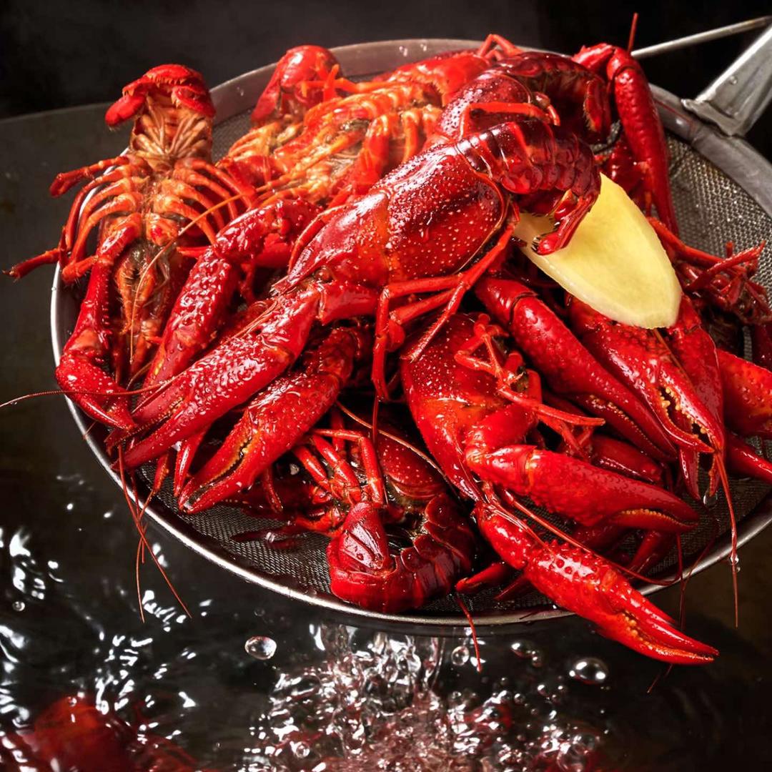 龍大侠小龙虾