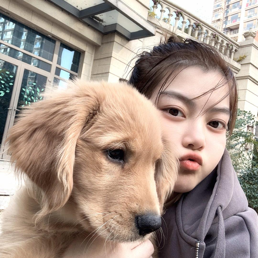 聪慧采耳官方号