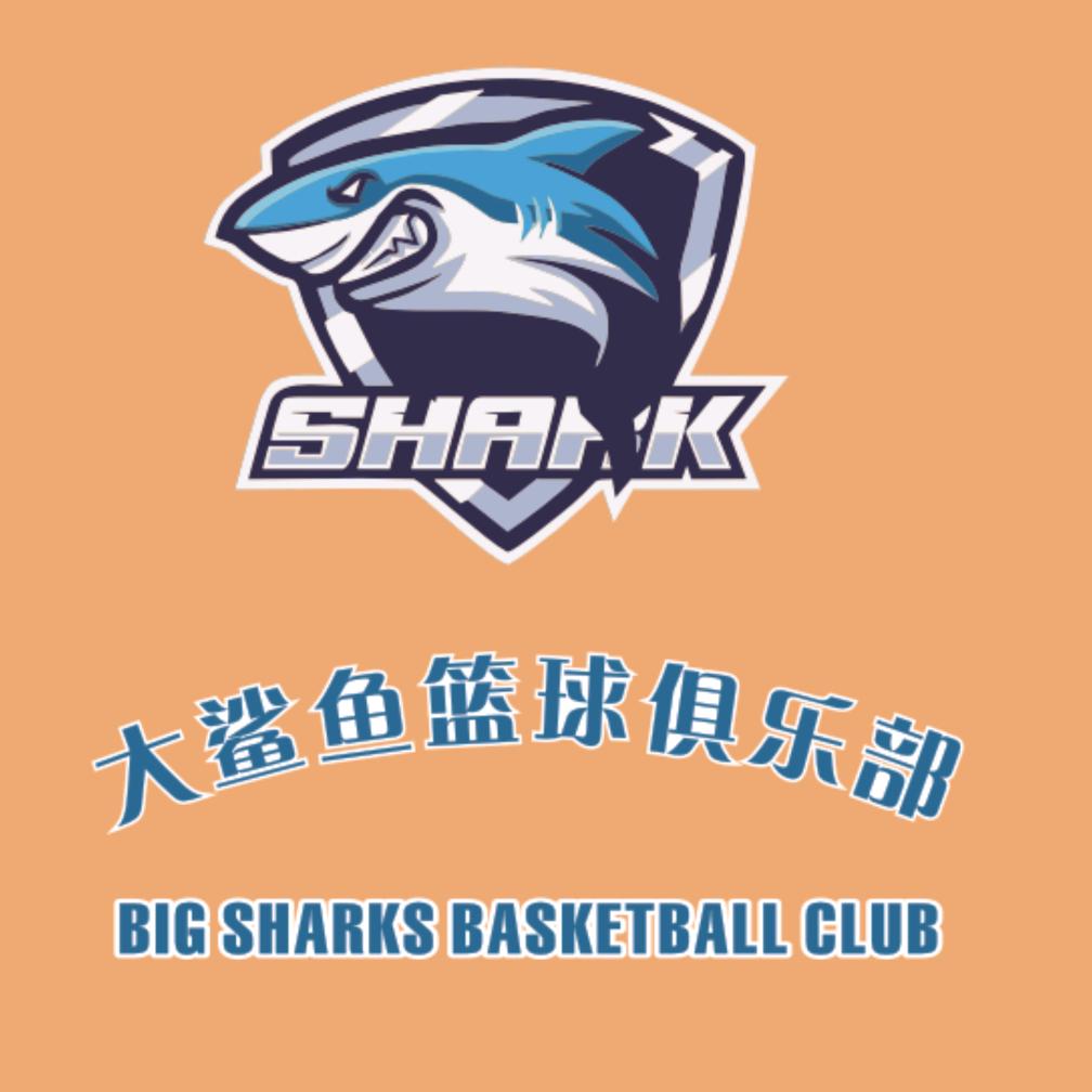 南宁市大鲨鱼篮球俱乐部馆