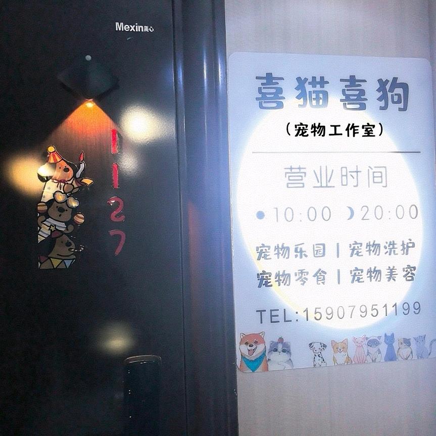 喜猫喜狗宠物工作室官方号