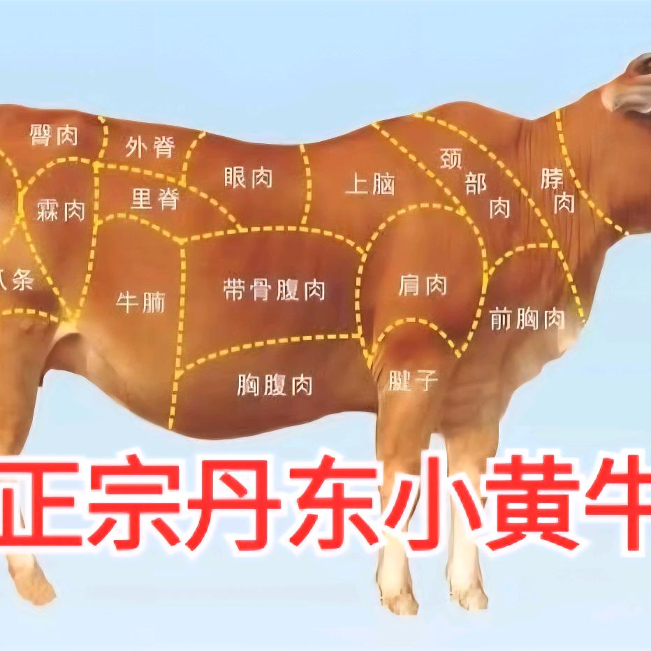 鸿来牛羊肉欧尚二部直营店