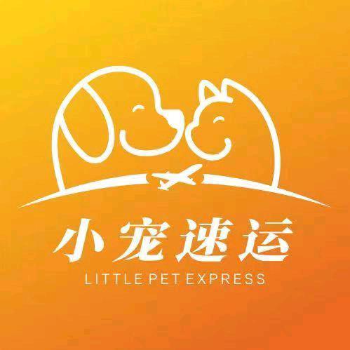 郑州宠飞翔宠物托运